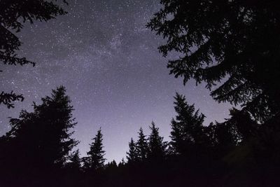 activite Randonnée nocturne & initiation astronomie